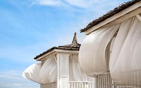 Lara Barut Collection