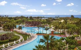 Lara Barut Collection